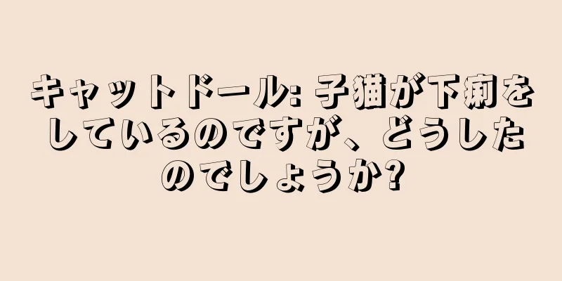 キャットドール: 子猫が下痢をしているのですが、どうしたのでしょうか?
