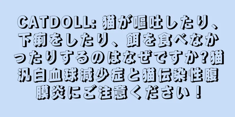 CATDOLL: 猫が嘔吐したり、下痢をしたり、餌を食べなかったりするのはなぜですか?猫汎白血球減少症と猫伝染性腹膜炎にご注意ください！