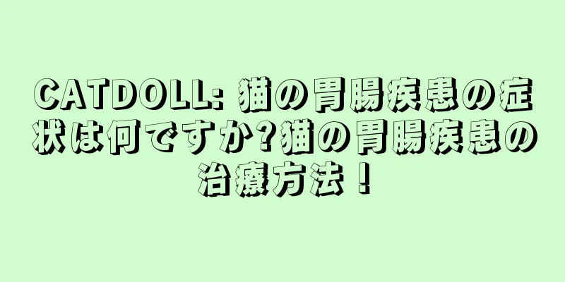 CATDOLL: 猫の胃腸疾患の症状は何ですか?猫の胃腸疾患の治療方法！