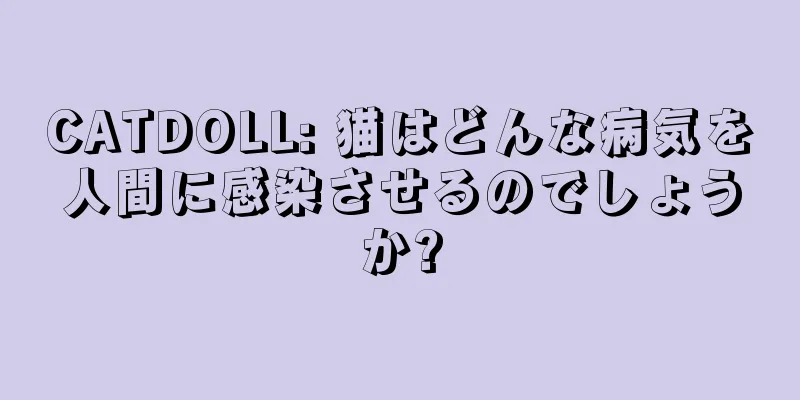 CATDOLL: 猫はどんな病気を人間に感染させるのでしょうか?
