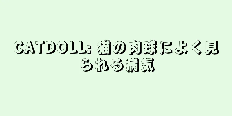 CATDOLL: 猫の肉球によく見られる病気