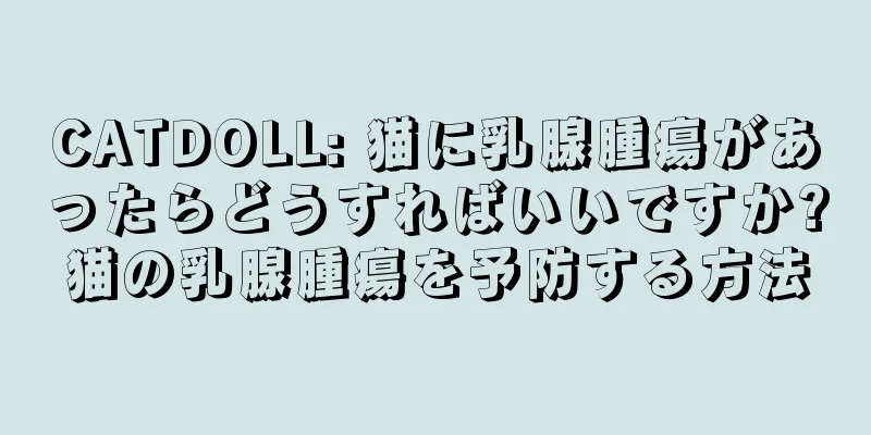 CATDOLL: 猫に乳腺腫瘍があったらどうすればいいですか?猫の乳腺腫瘍を予防する方法