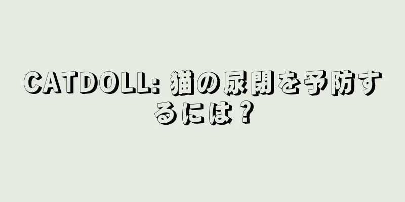 CATDOLL: 猫の尿閉を予防するには？