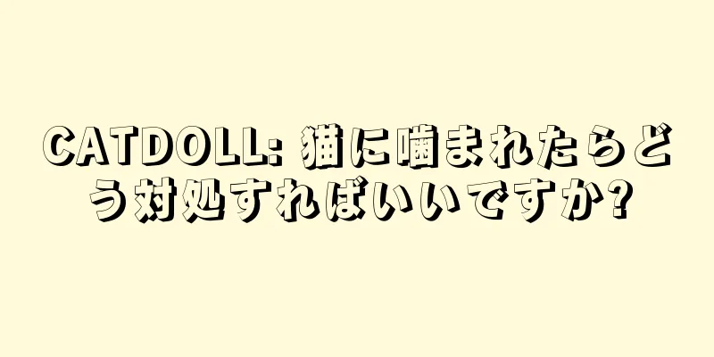 CATDOLL: 猫に噛まれたらどう対処すればいいですか?