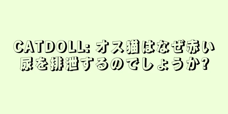 CATDOLL: オス猫はなぜ赤い尿を排泄するのでしょうか?