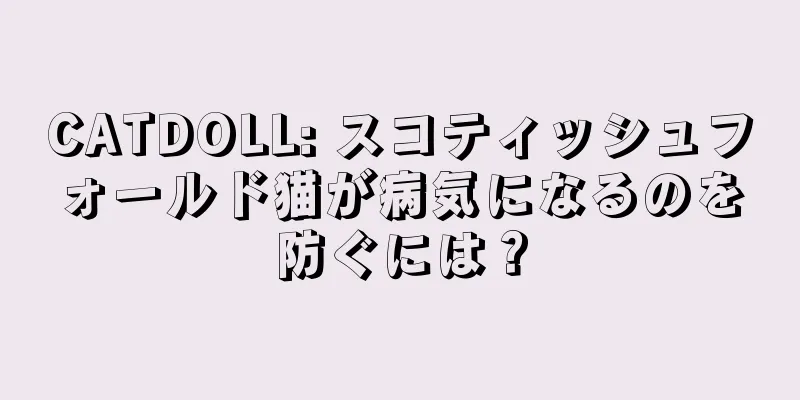 CATDOLL: スコティッシュフォールド猫が病気になるのを防ぐには？