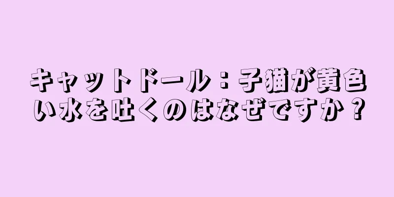 キャットドール：子猫が黄色い水を吐くのはなぜですか？