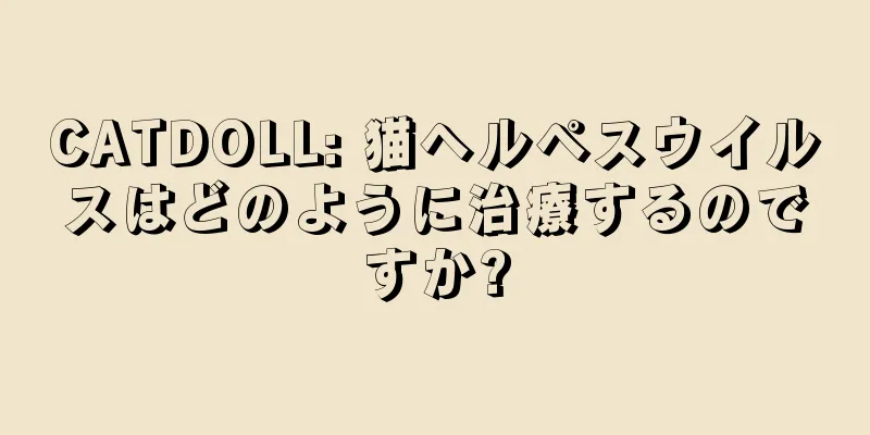 CATDOLL: 猫ヘルペスウイルスはどのように治療するのですか?