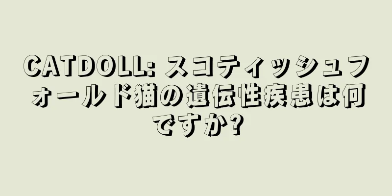CATDOLL: スコティッシュフォールド猫の遺伝性疾患は何ですか?