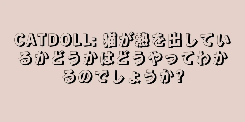 CATDOLL: 猫が熱を出しているかどうかはどうやってわかるのでしょうか?