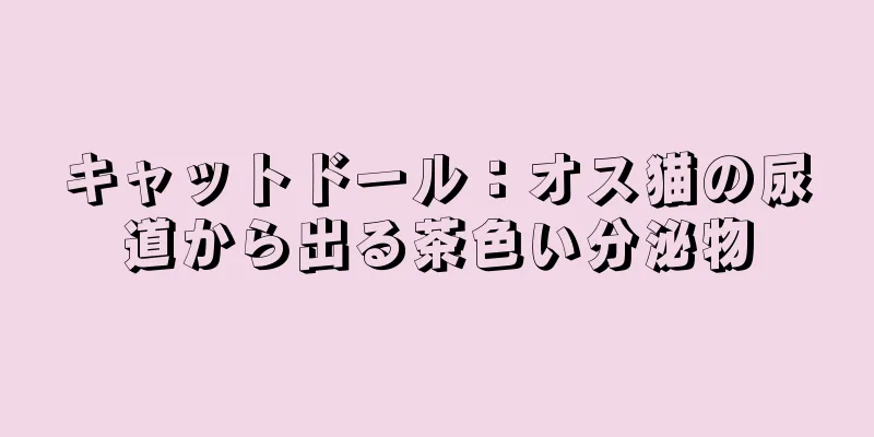 キャットドール：オス猫の尿道から出る茶色い分泌物
