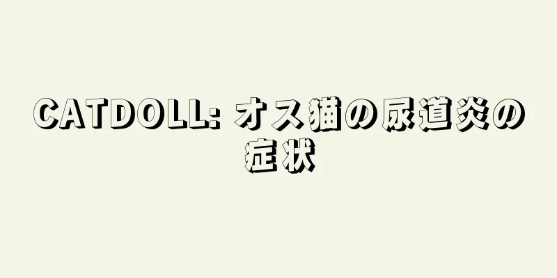 CATDOLL: オス猫の尿道炎の症状