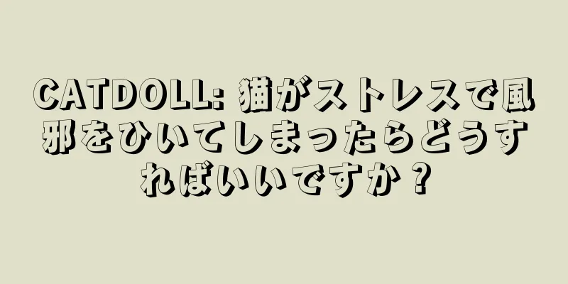 CATDOLL: 猫がストレスで風邪をひいてしまったらどうすればいいですか？
