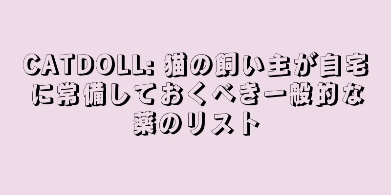 CATDOLL: 猫の飼い主が自宅に常備しておくべき一般的な薬のリスト