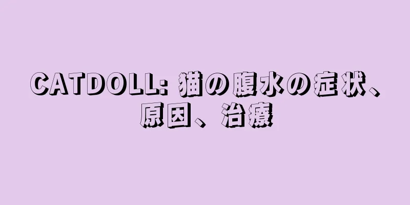 CATDOLL: 猫の腹水の症状、原因、治療