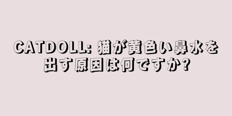 CATDOLL: 猫が黄色い鼻水を出す原因は何ですか?