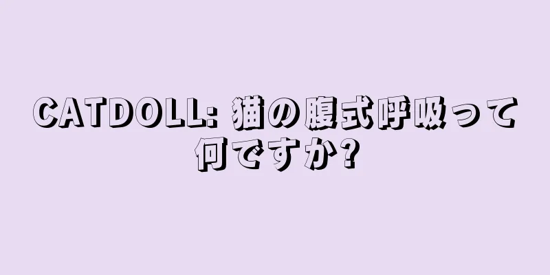 CATDOLL: 猫の腹式呼吸って何ですか?