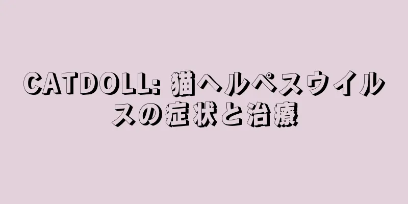CATDOLL: 猫ヘルペスウイルスの症状と治療