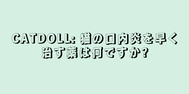 CATDOLL: 猫の口内炎を早く治す薬は何ですか?