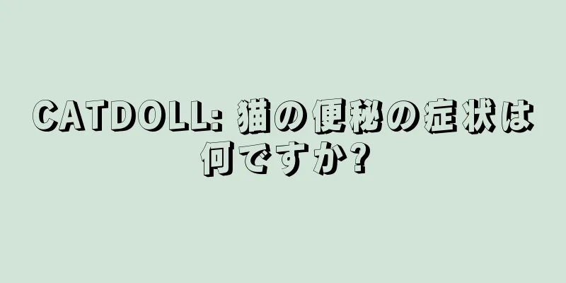 CATDOLL: 猫の便秘の症状は何ですか?