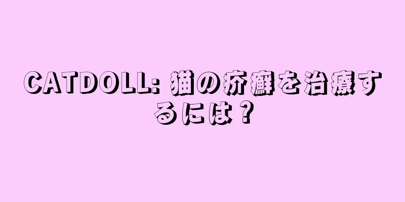 CATDOLL: 猫の疥癬を治療するには？