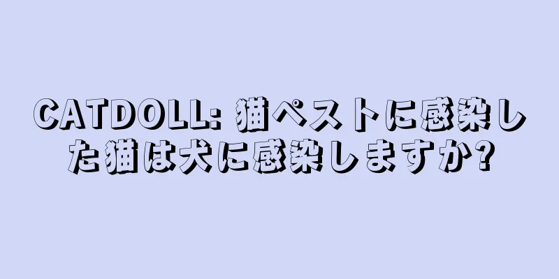 CATDOLL: 猫ペストに感染した猫は犬に感染しますか?