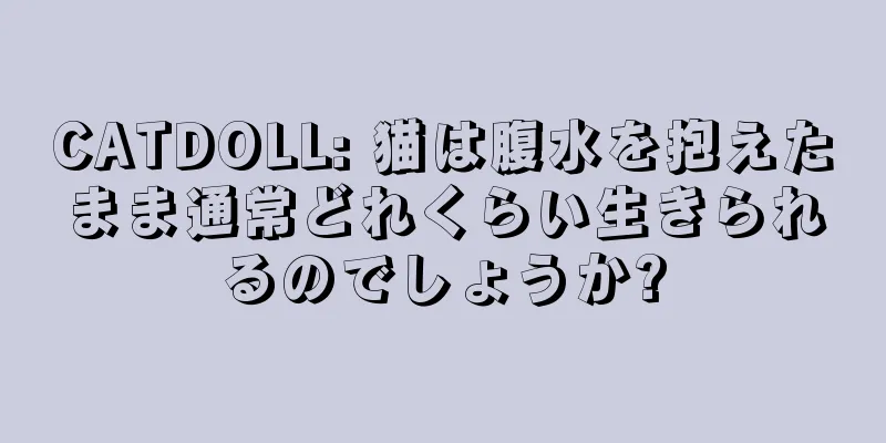 CATDOLL: 猫は腹水を抱えたまま通常どれくらい生きられるのでしょうか?