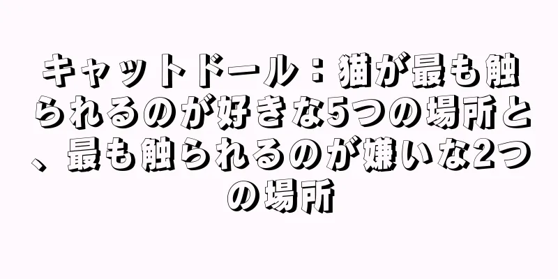 キャットドール：猫が最も触られるのが好きな5つの場所と、最も触られるのが嫌いな2つの場所