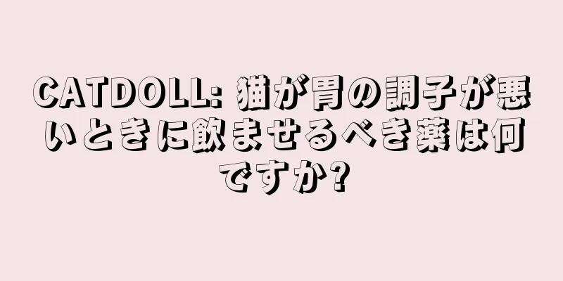 CATDOLL: 猫が胃の調子が悪いときに飲ませるべき薬は何ですか?