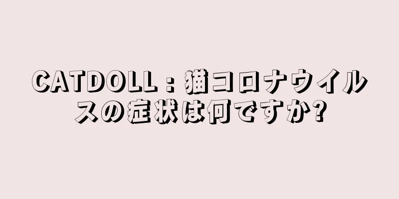 CATDOLL : 猫コロナウイルスの症状は何ですか?