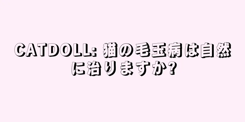 CATDOLL: 猫の毛玉病は自然に治りますか?