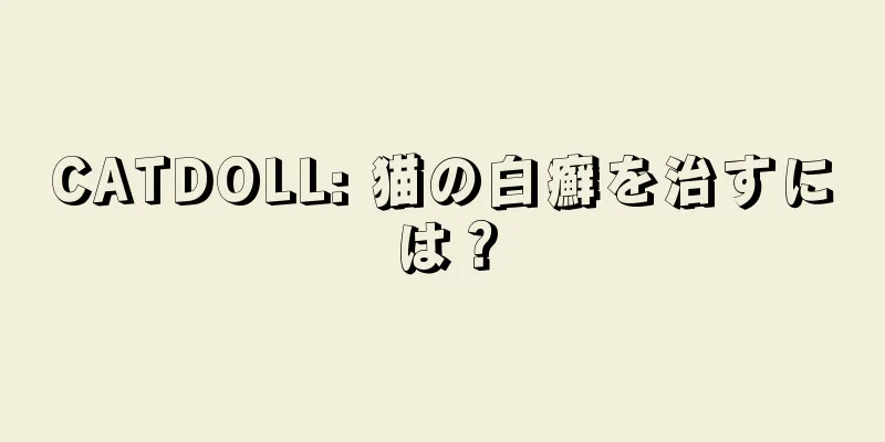 CATDOLL: 猫の白癬を治すには？