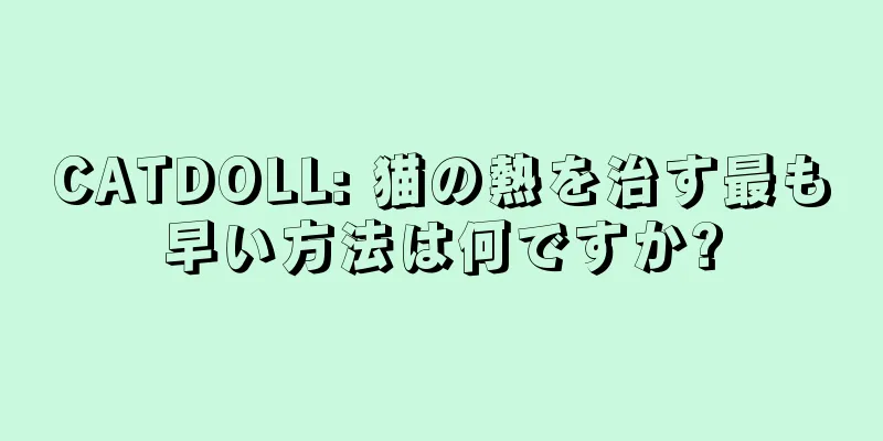 CATDOLL: 猫の熱を治す最も早い方法は何ですか?