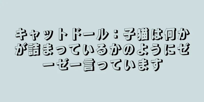 キャットドール：子猫は何かが詰まっているかのようにゼーゼー言っています