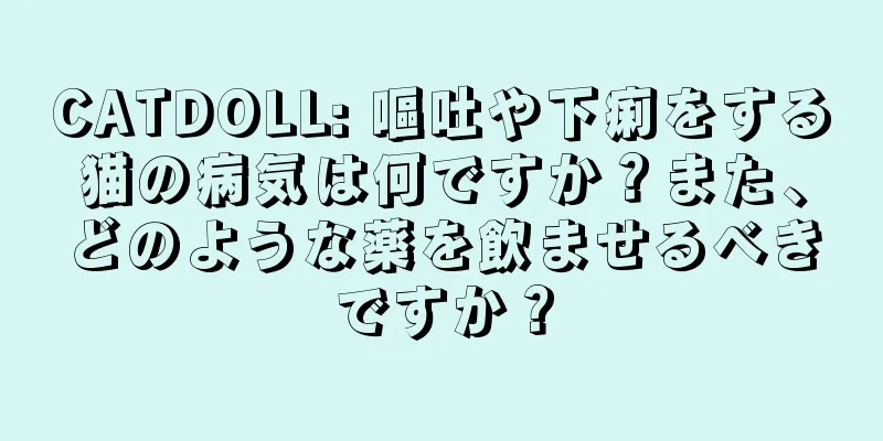 CATDOLL: 嘔吐や下痢をする猫の病気は何ですか？また、どのような薬を飲ませるべきですか？