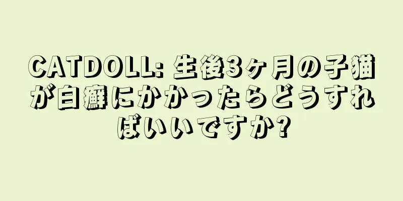 CATDOLL: 生後3ヶ月の子猫が白癬にかかったらどうすればいいですか?
