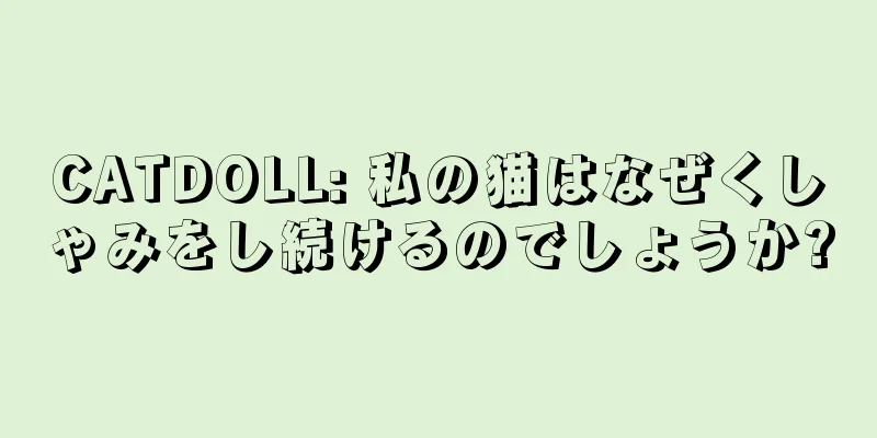 CATDOLL: 私の猫はなぜくしゃみをし続けるのでしょうか?