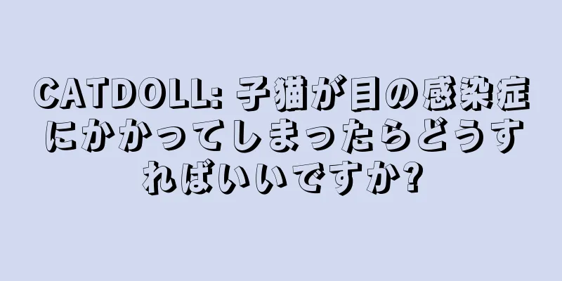 CATDOLL: 子猫が目の感染症にかかってしまったらどうすればいいですか?