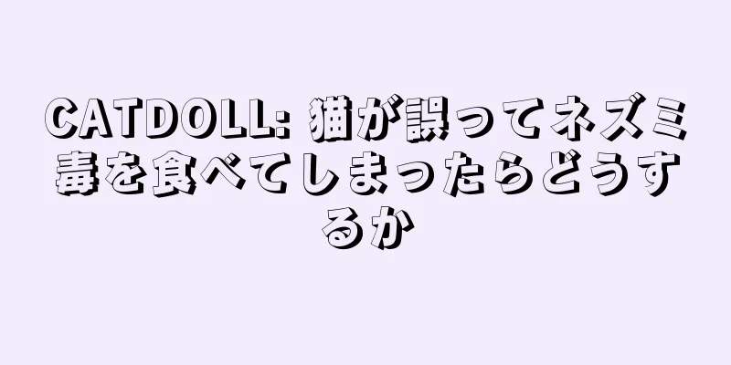 CATDOLL: 猫が誤ってネズミ毒を食べてしまったらどうするか