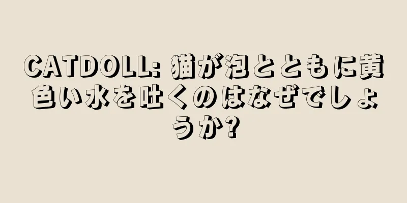 CATDOLL: 猫が泡とともに黄色い水を吐くのはなぜでしょうか?