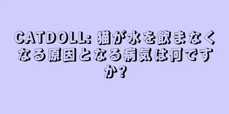 CATDOLL: 猫が水を飲まなくなる原因となる病気は何ですか?
