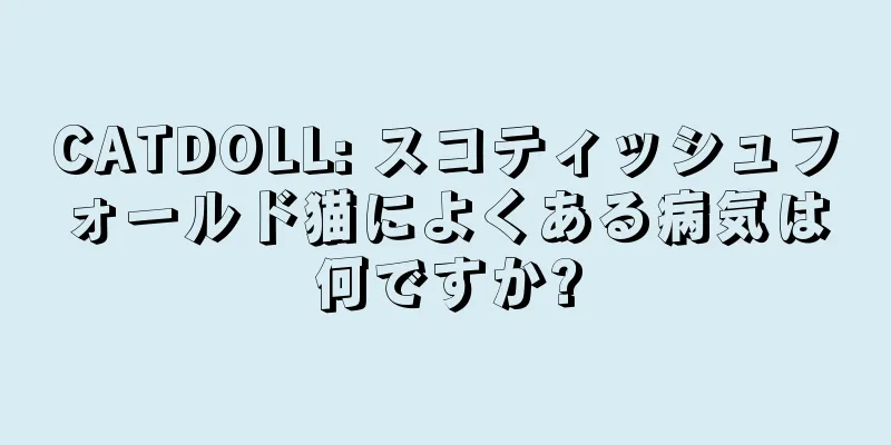 CATDOLL: スコティッシュフォールド猫によくある病気は何ですか?