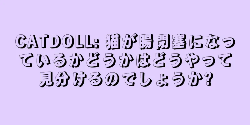 CATDOLL: 猫が腸閉塞になっているかどうかはどうやって見分けるのでしょうか?