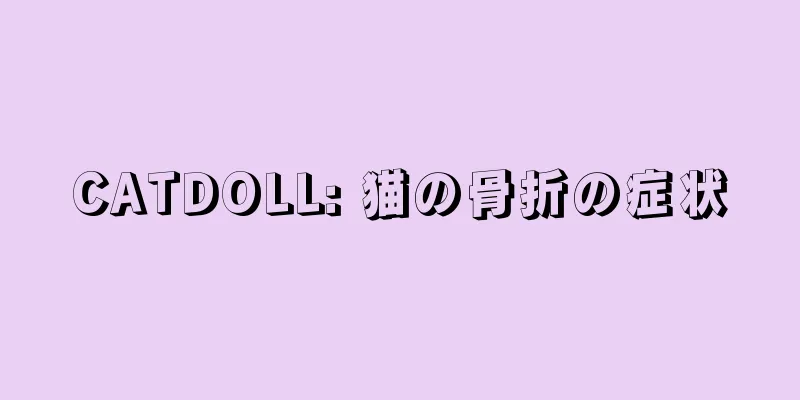 CATDOLL: 猫の骨折の症状