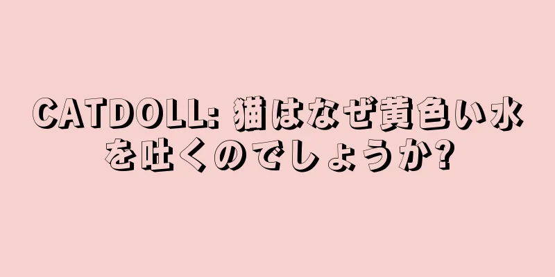 CATDOLL: 猫はなぜ黄色い水を吐くのでしょうか?