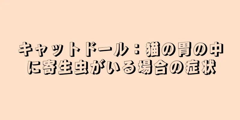 キャットドール：猫の胃の中に寄生虫がいる場合の症状