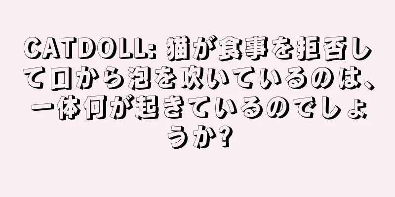 CATDOLL: 猫が食事を拒否して口から泡を吹いているのは、一体何が起きているのでしょうか?