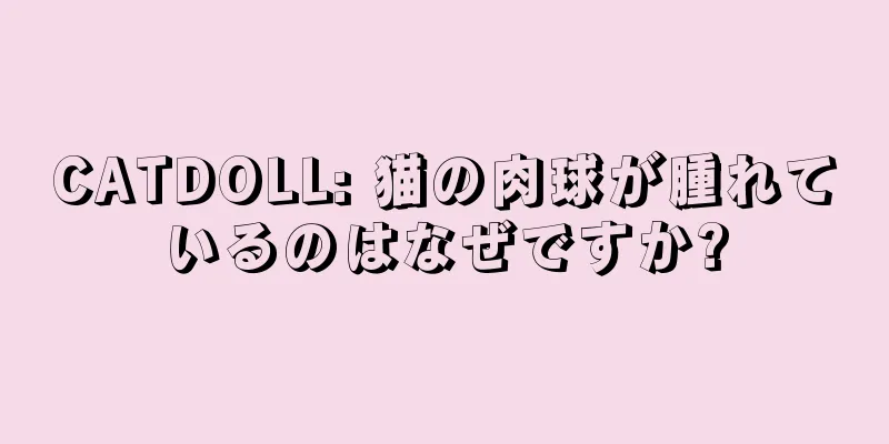 CATDOLL: 猫の肉球が腫れているのはなぜですか?