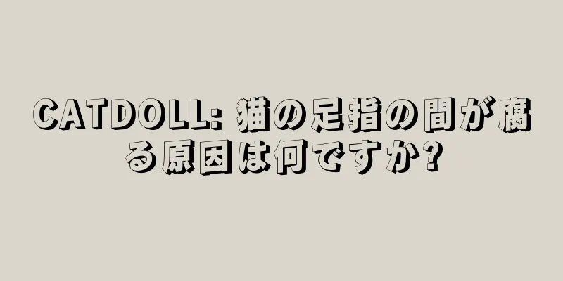 CATDOLL: 猫の足指の間が腐る原因は何ですか?