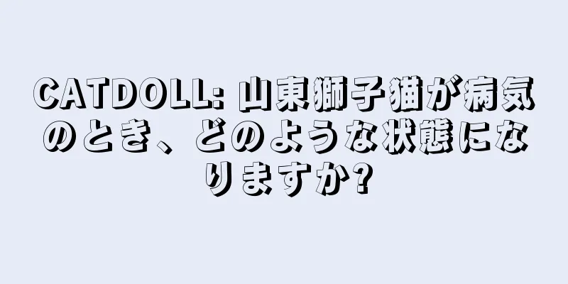 CATDOLL: 山東獅子猫が病気のとき、どのような状態になりますか?